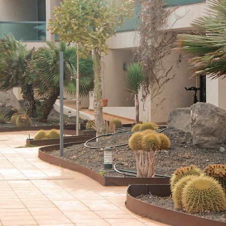 Casa Aloe Vera Cotillo Dış mekan fotoğraf