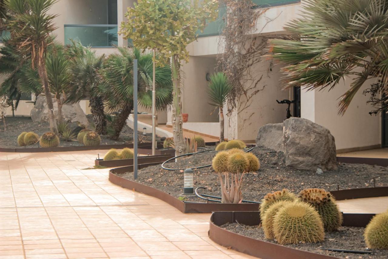 Casa Aloe Vera Cotillo Dış mekan fotoğraf